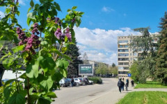 Повече хора са започнали работа през март в област Търговище в сравнение с предходния месец