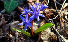 Най-после: до 25 градуса през почивните дни