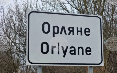 Повече от 50 елена лопатари е разселило Ловно-рибарското дружество в Ловеч в последните три години