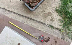 Над 18 кг калкан са иззети от Изпълнителната агенция по рибарство и аквакултури от автомобил край Балчик, превозвал рибата без разрешение