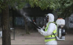 Областният управител пита: Как общините във Великотърновски регион се борят с комарите