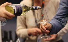 Над 700 чуждестранни вина могат да опитат посетителите на двудневното изложение Discover.Vino в НДК