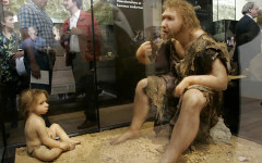 Неандерталските бебета са били два пъти по-големи от днешните бебета