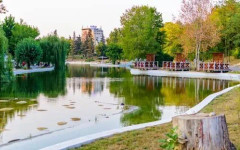 ПП-ДБ изправи с малко ДПС в Добрич