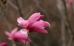 Слънце до обяд, после топъл дъжд и вятър