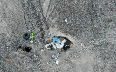 Нов вид дълговрат динозавър беше открит от германски учени при проучвания в Патагония