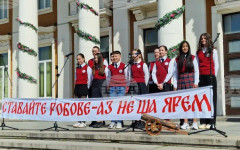 С патриотичен рецитал Основно училище "Св. Иван Рилски" в Перник отбеляза годишнината от Априлското въстание