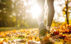 Как 20 минути сред природата могат да подобрят здравето ви