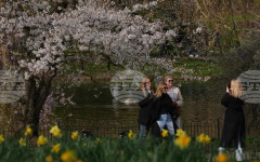 Британската компания за луксозни чанти "Мълбъри" се връща към ръст на продажбите въпреки спада на потребителското търсене