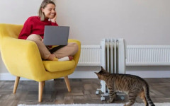 Как температурата у дома влияе на съня, концентрацията и продуктивността?