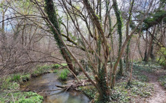 Старозагорци се събират в "Бедечка" за по-чист и зелен град
