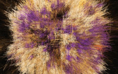 Човешкият алгоритъм: Изложбата в галерия "Куб", част от фестивала SHAPESHIFT, изследва невидимата архитектура на дигиталното ни ежедневие