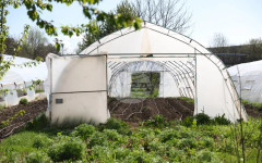 Над 9 млн. евро отпуска Държавен фонд "Земеделие" за борба с вредителите