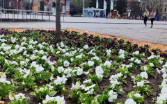 Бизнесът в Кюстендил изпитва най-голям глад за кадри в производството и услугите