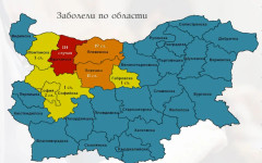 149 случая на морбили у нас, най-много остават тези във Враца
