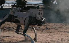 Концепцията на Китай: Армия от роботи ще превзема противниковите градове