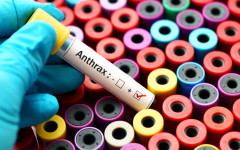 Защо антраксът е много опасен и какво да правим с болните животни?