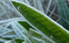 След валежите: Опасност в тази част на страната