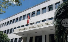 МИНА: Нетните преки чуждестранни инвестиции в Черна гора през януари възлизат на 19,53 милиона евро