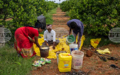 Индия отчита рязък спад в производството на торове през март заради войната в Близкия изток