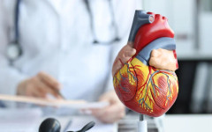 Кардиолог: Седенето над 8 часа на ден вдига риска от сърдечен инцидент със 120%