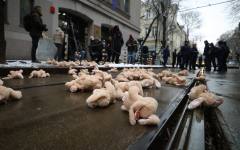 "Драго каза" и вече съм във ВАС или даровете на данайците