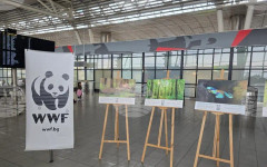 Фотографска изложба представя дейността на WWF по опазване на природата в България през последните 20 години