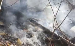 Сезонът на пожарите в Гърция започна, регистрирани са над петдесет