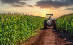 50 свободни работни места на човек: Селскостопанският сектор на Украйна е на ръба