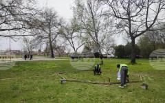 Започна благоустрояването на парка в Елхово с инвестиция от близо 340 хиляди евро