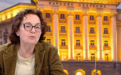 Румяна Коларова: Това, че се появи нова партия е нормален процес