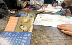 Над 3500 врабчета бяха преброени от доброволци в страната