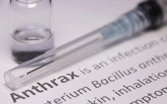 След разкритията за месо с антракс: Какви са симптомите на заразата при човека и как да се предпазим