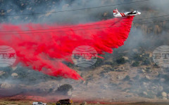 Горски пожари в американските щати Джорджия и Флорида унищожиха близо 50 къщи и наложиха евакуации