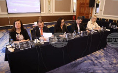 Ако държавата превърне медицинския туризъм в своя политика, преките приходи биха достигнали 700 млн. евро, каза Свилена Димитрова