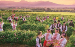 Казанлък става кулинарна столица - роза, шафран и гурме изкушения превземат града през юни