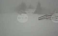 Около 10 см нов сняг наваля в Пампорово