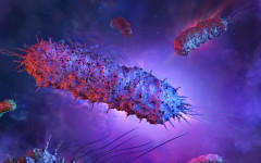 БАБХ: Има опасност месо от огнище с антракс в Силистренско да е разпространено и на други места у нас