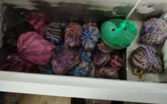 БАБХ затвори още 2 кланици