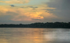 350 км древни пътища отпреди 2700 години опасват уж непроходимата джунгла на Амазонка