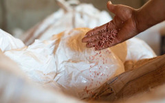 Русия удължава квотите за износ на торове до края на ноември