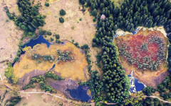 Създадоха първи наръчник за опазване на торфищата у нас