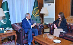 АПП: На среща с американския шарже д'афер в Исламабад пакистанският външен министър определи диалога като ключ към мира