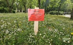 Пръскат срещу кърлежи в Благоевград