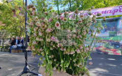 Кулинарно шоу, фолклор и изложение на местни продукти са включени в празника на подправката самардала в Нова Загора