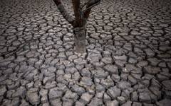 Засегнатата от суша територия в България през 2024 г. достига максимум от 17 години