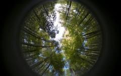 Карта показва обществените скривалища при кризисни ситуации