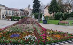 Над 500 деца и ученици ще участват в цветен пролетен карнавал във Враца