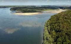 Прекратена поръчка обрича 800 000 души на нашествие от комари