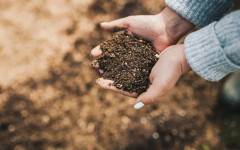 Цените на торовете скочиха с до 50% за година, предупреждават фермери